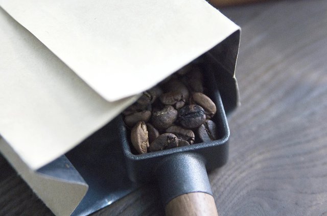 Iron Coffee Scoop