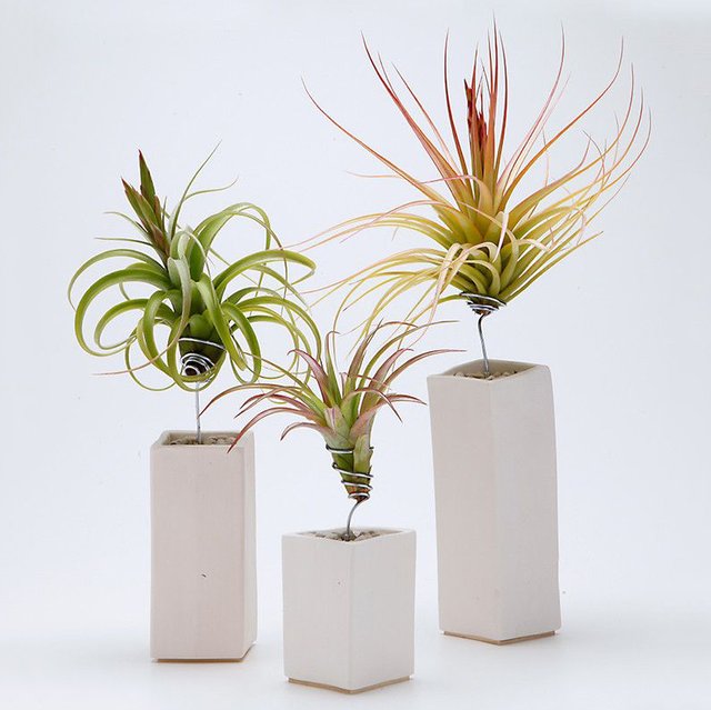 Ceramic AirplantVessel