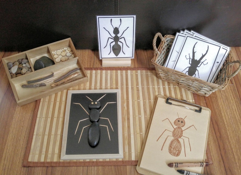 Loose Parts Insect/Bug Exploration Build a Bug Fine Motor