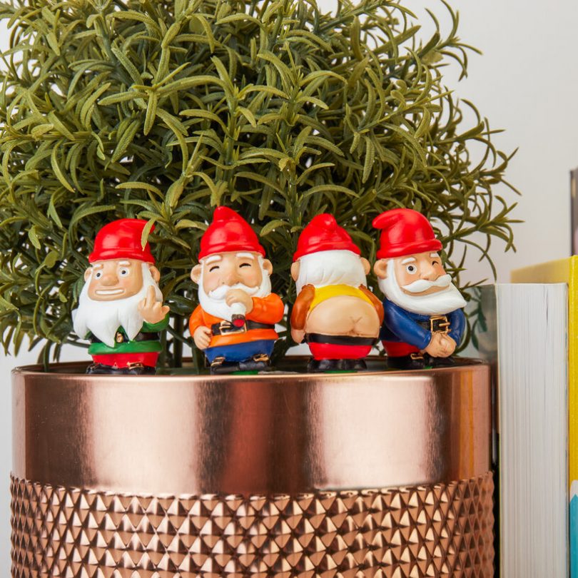 Mini Plant Pot Naughty Gnomes