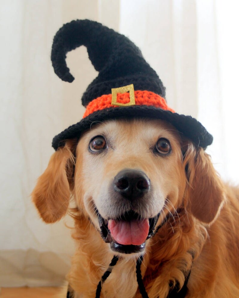 Witch Hat for Dogs Dog Witch Hat Halloween Hat for Dogs