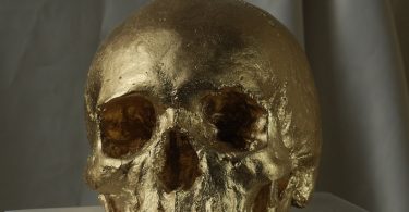 Gold Bonaparte Skull in Wood Charnel