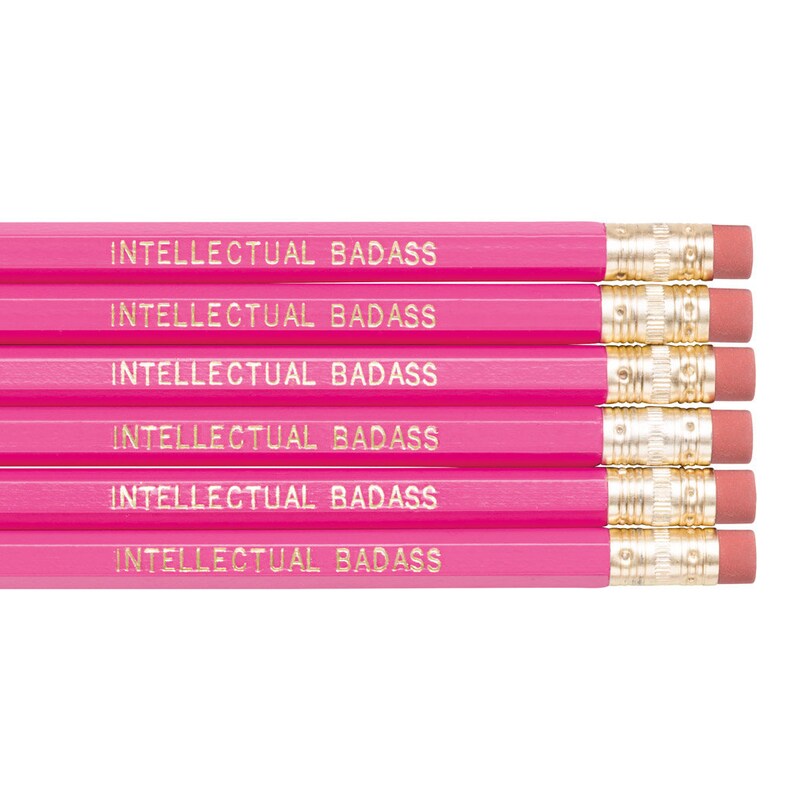 INTELLECTUAL BADASS pencil set. Funny pencils. Pink pencils.