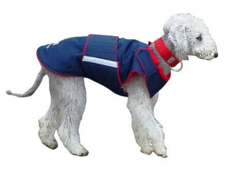 Winter Dog Coat  Dog Jacket  Custom made Dog Coat