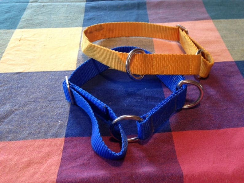 Circle Dog Collars