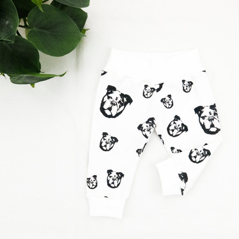 English Bulldog Baby Leggings Organic Cotton Baby Clothes