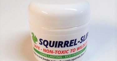 Stop Squirrels from Climbing to Bird Seed Squirrel Proof your