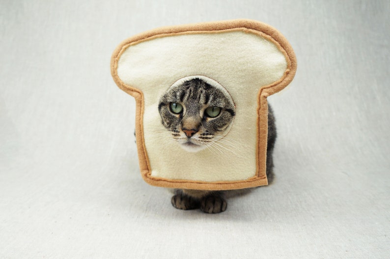 Bread Cat Costume for Cats