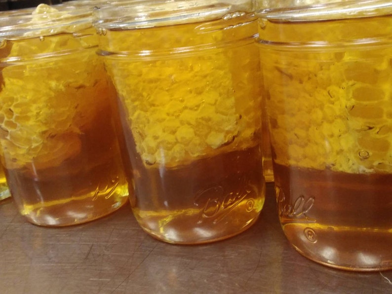 Raw honey with honeycomb chunk comb 10.5 oz. Half Pint Mason