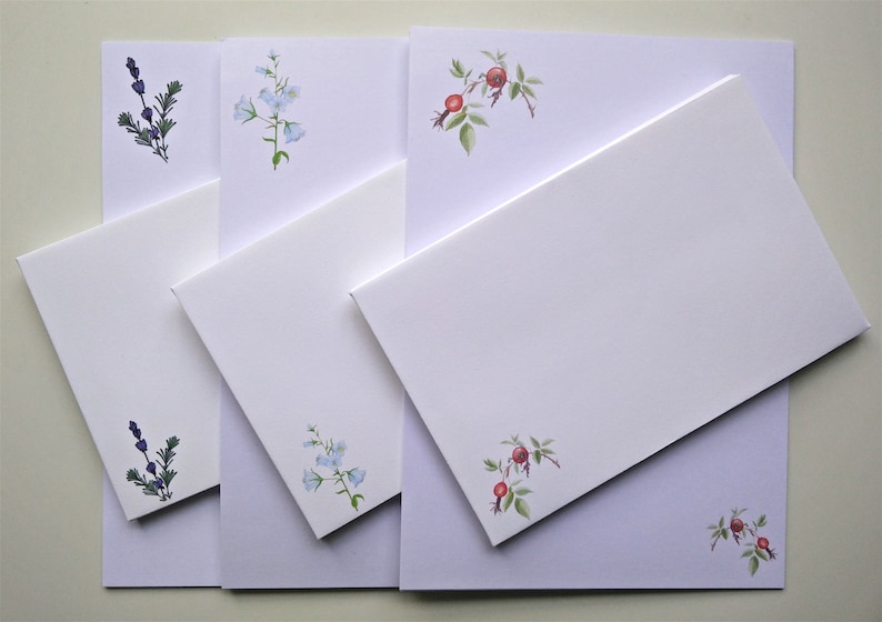 Writing Paper and Co-ordinating Envelope Packs  Rose Hips