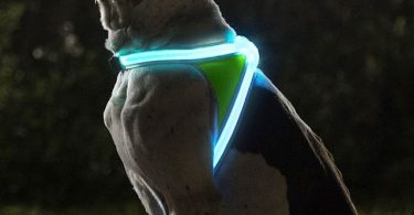 Illuminated And Reflective Dog Vest