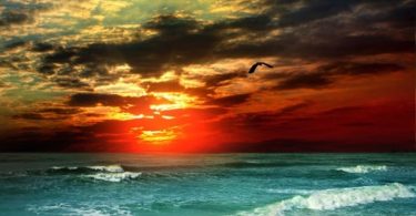 Photography Backdrop Sunset Ocean Beach Scenic Photo