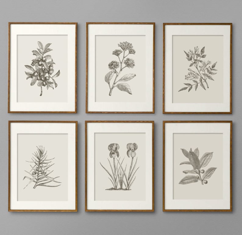 Botanical Prints Botanical Print Set Botanical Art Botanical