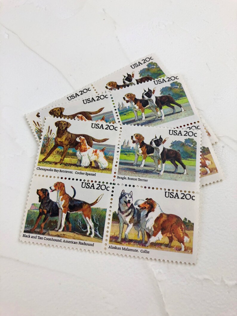 Dog Postage Stamps  12 Unused Vintage Postage Stamps  20