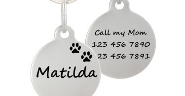 Double Sided Laser Etched Stainless Steel Pet ID Tag for Dog &