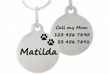 Double Sided Laser Etched Stainless Steel Pet ID Tag for Dog &