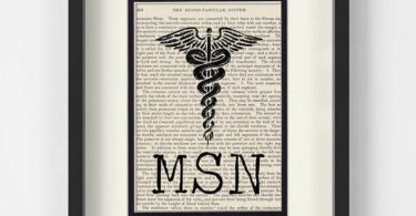 MSN Gift  Vintage Anatomy Book Page Art Print  Unique MSN