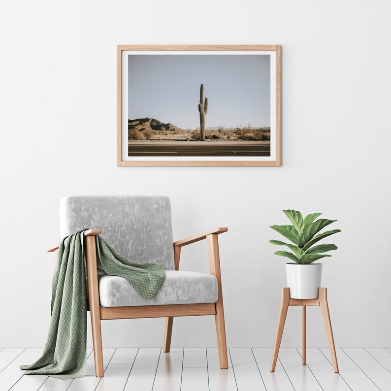 Wall Art Photography Print of a Cactus by the Highway in