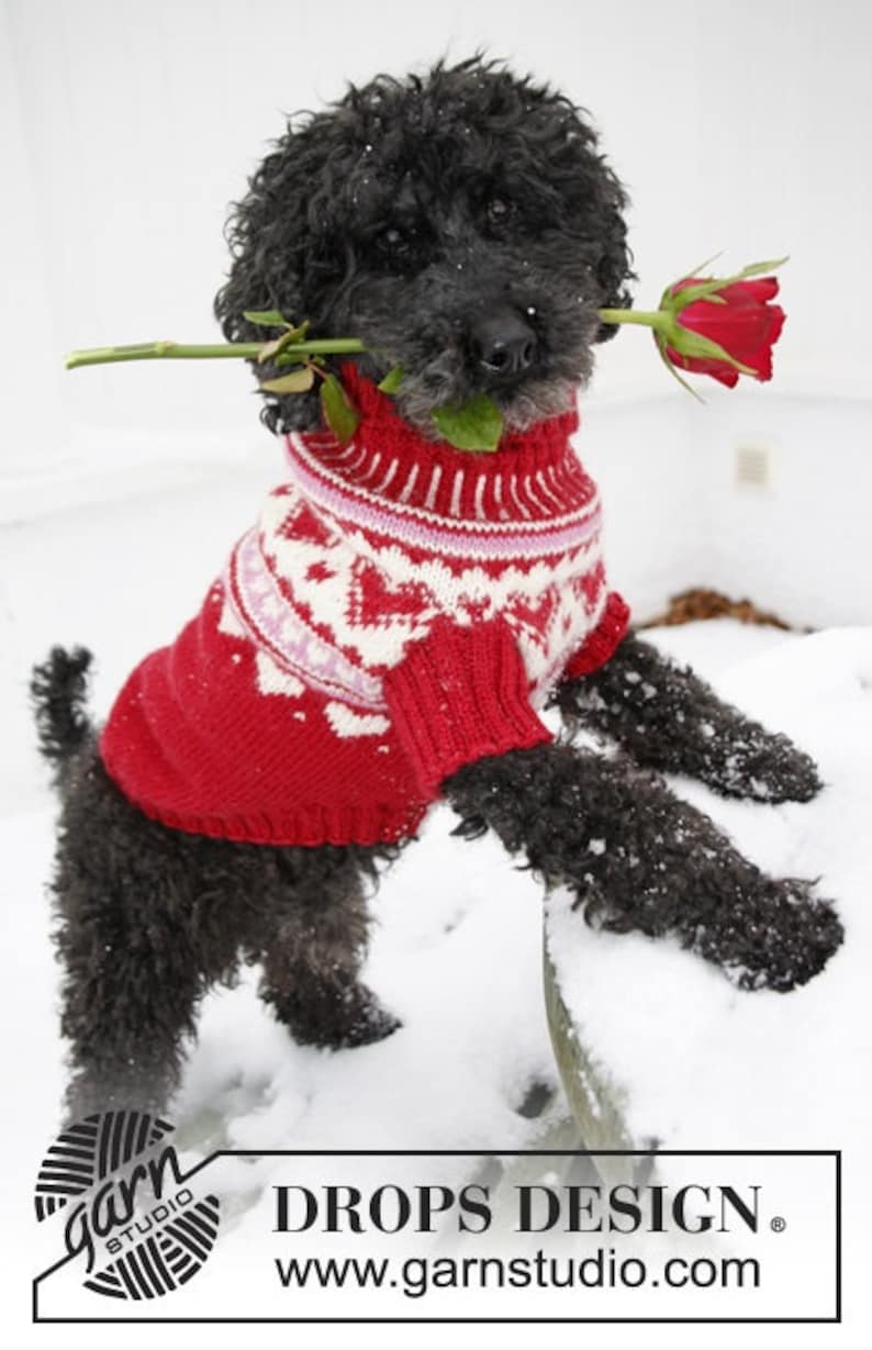 Handmade Dog’s valentine sweater / jumper / coat with
