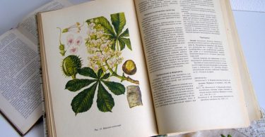 Book botany flowers Vintage Illustrated Botanical Book