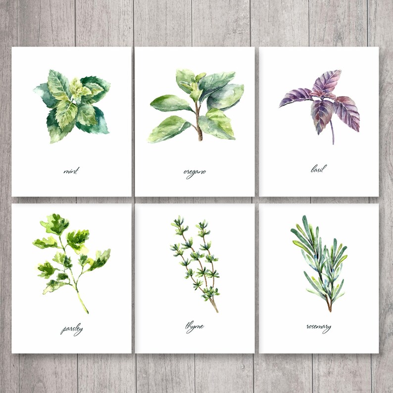 Herbs Print Kitchen Print Kitchen Printable Watercolor