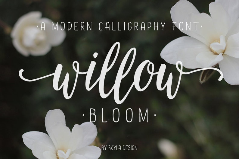 Willow Bloom modern calligraphy font