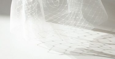 ALICE  double-layer short birdcage veil / Bridal veil for