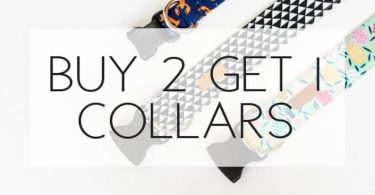 Buy 2 Get 1 Free Dog Collars Special