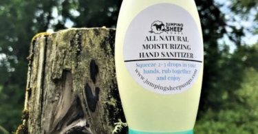 Moisturizng Hand Sanitizer  All Natural  Vegan
