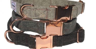 The Bailey Line  High Fashion Dog Collars