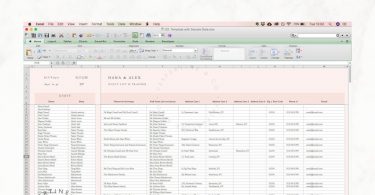 Wedding Guest List Planner and Guest List Tracker  Excel