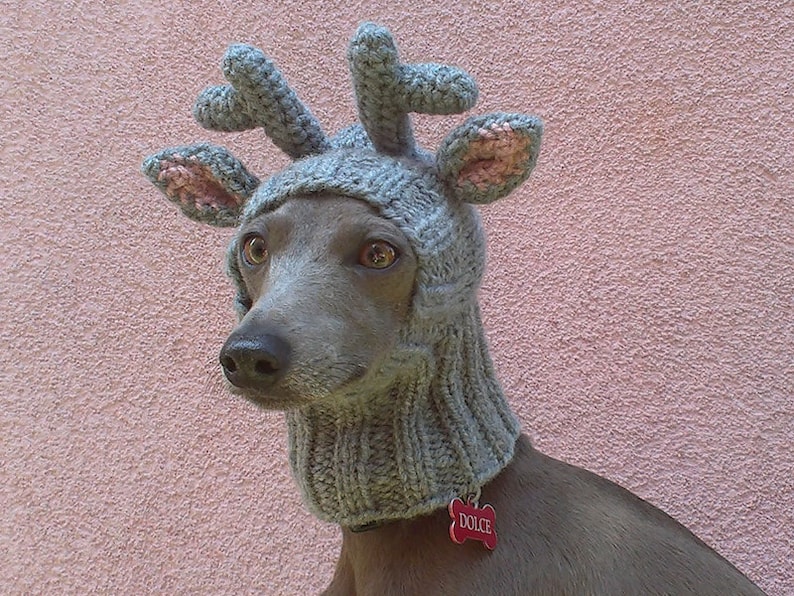 Reindeer Dog Hat / Reindeer Dog Snood / Christmas Dog Hat /