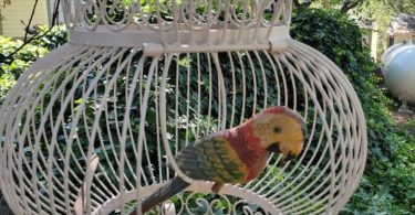 Vintage Iron Bird Cage hanging chippy rustic scrolled