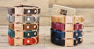 Dog collar Clip collar FREE personalisation Leather dog