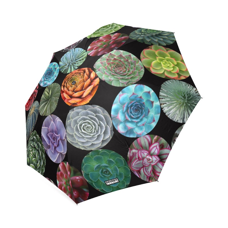 Succulents Rain Umbrella  photo-realistic succulents