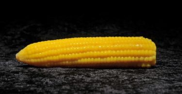 Corn Maiskolben  Silikon  Dildo  Dekoration