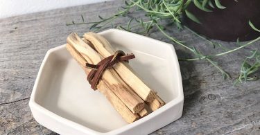 Palo Santo Sticks with Porcelain Hexagon Burning Tray