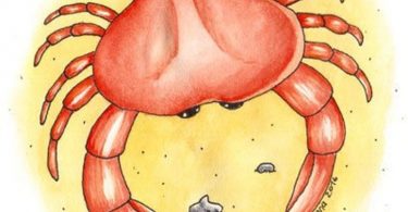 Postcard Crab
