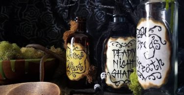 Nightmare before christmas sally potion poison bottles and
