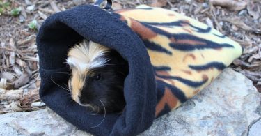 Snuggle  bag for you guinea pig or  small pet. sleeping  bag