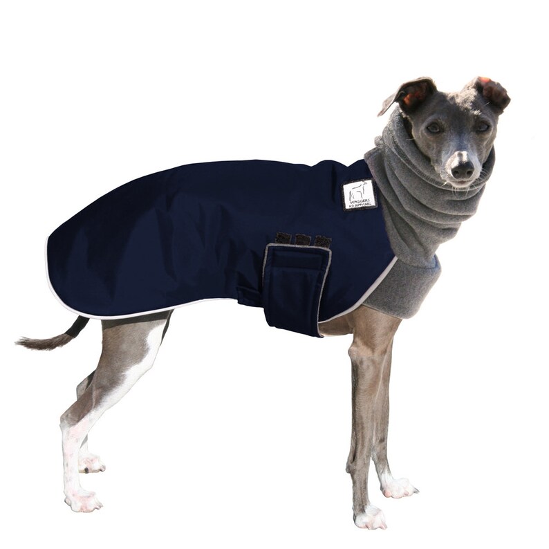 ITALIAN GREYHOUND Winter Coat Waterproof Dog Coat  Jacket