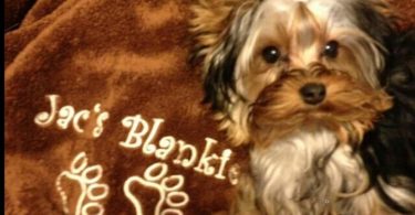 Small 30 x 40 Minky Personalized Dog Blanket