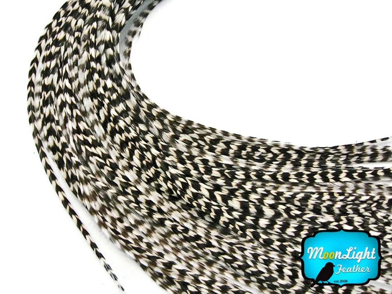 Black and White Feathers 10 Pieces  NATURAL Thin Long