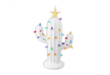 DIY Lighted Ceramic Cactus Tree Kit