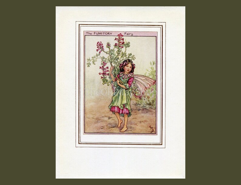 Fumitory Flower Fairy Vintage Print 1950’s Cicely Mary