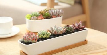 Simple Planter Succulent Planter Terrarium MiniatureFairy