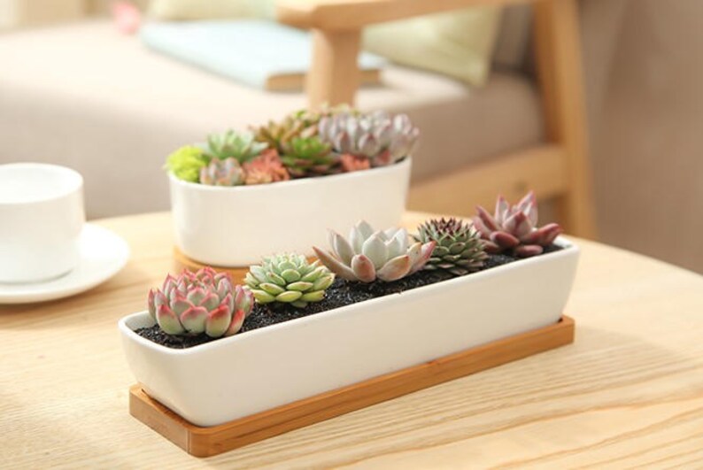 Simple Planter Succulent Planter Terrarium MiniatureFairy