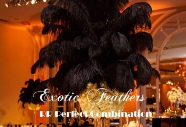 Black Ostrich Feathers 15 to 18 Inches Long. USA Seller