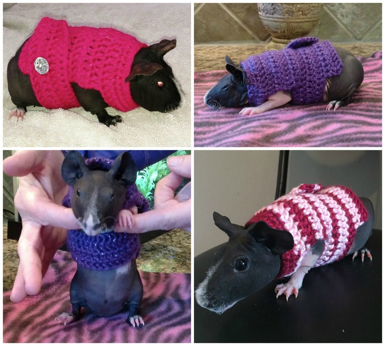 Guinea Pig Clothes Guinea Pig Sweater Skinny Pig Sweater