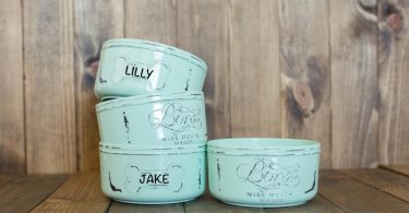 Set of Dog Food Bowls  Personalized Pet Food Bowls  Pet